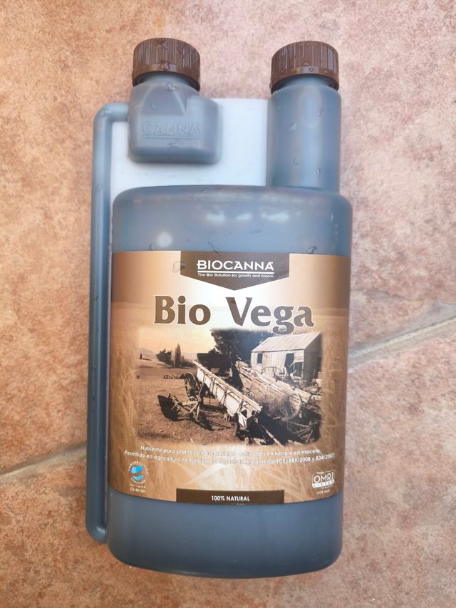 Fertilizantes para macetas