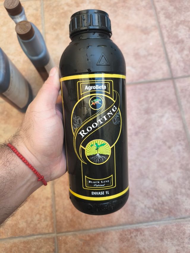 Fertilizantes para macetas