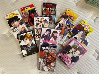 Mangas Variados