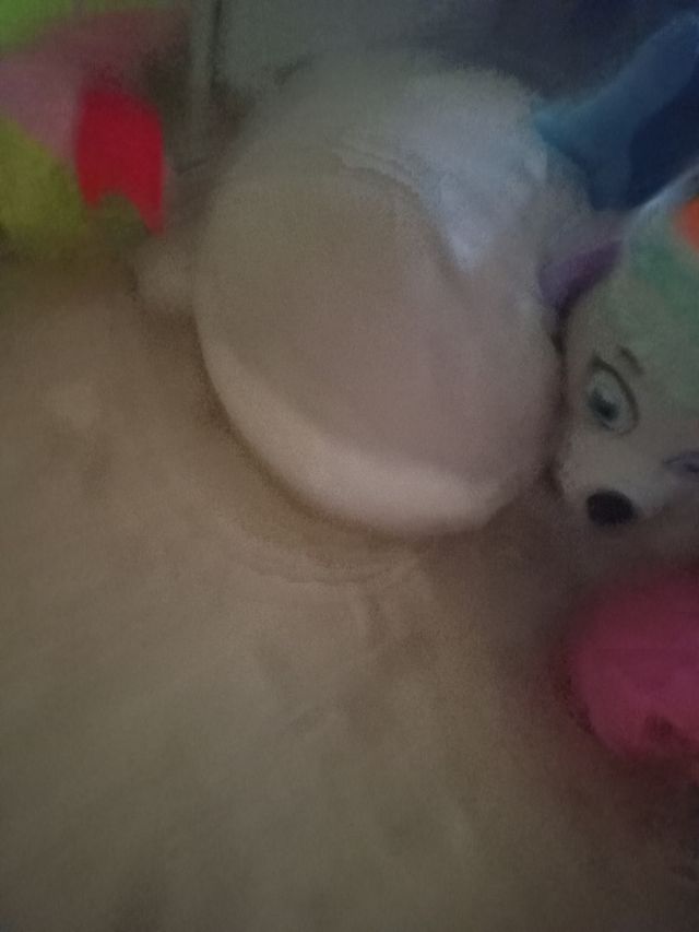 Lote de Peluches Variados