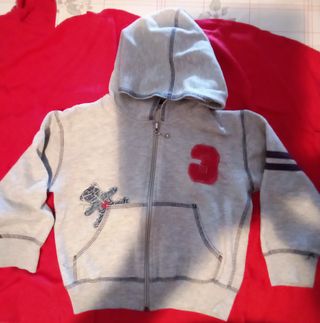 Felpa bimbo BJM con cappuccio ( 3/4 ANNI )