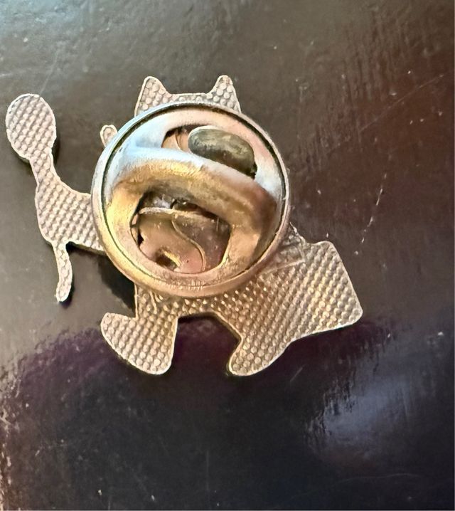 Pin Periodista radio