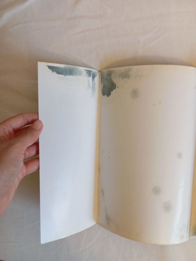 Una mañana de marzo (2009)