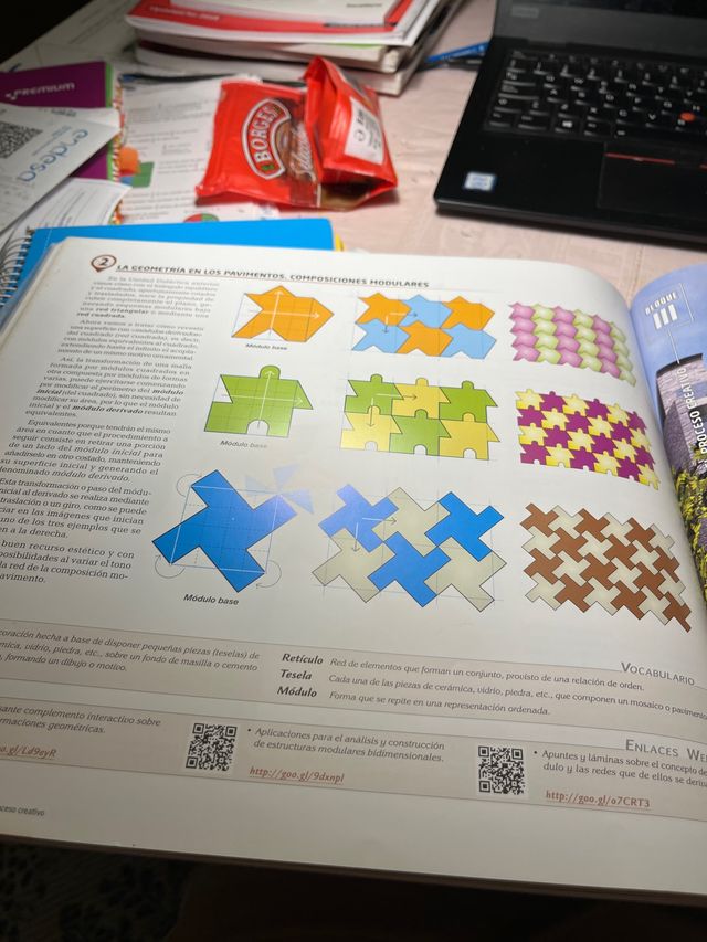 OBSERVAR COMPRENDER EXPRESAR I PLUS • (OCE I +...