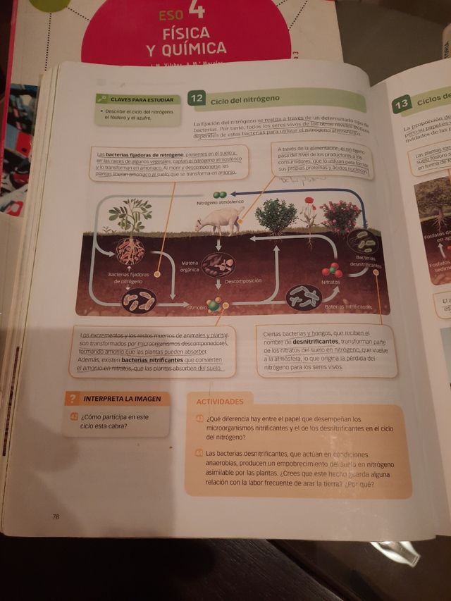 Biología y geología 4º Eso