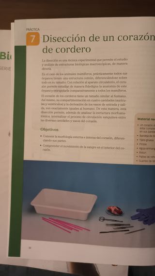 Libro Biología y Geología 1o Bachillerato