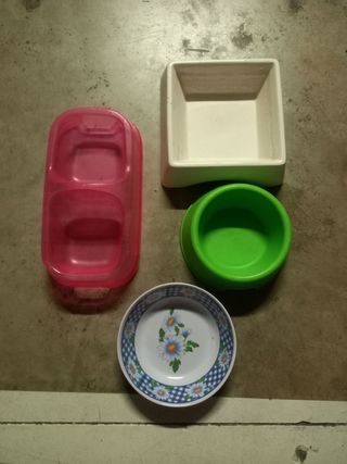 Transportín arenero y comederos