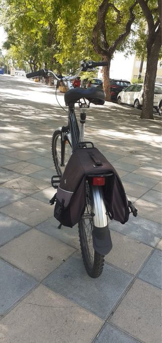 Bicicleta paseo Trek