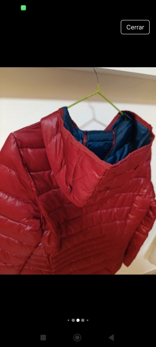 Plumifero rojo de Milano.