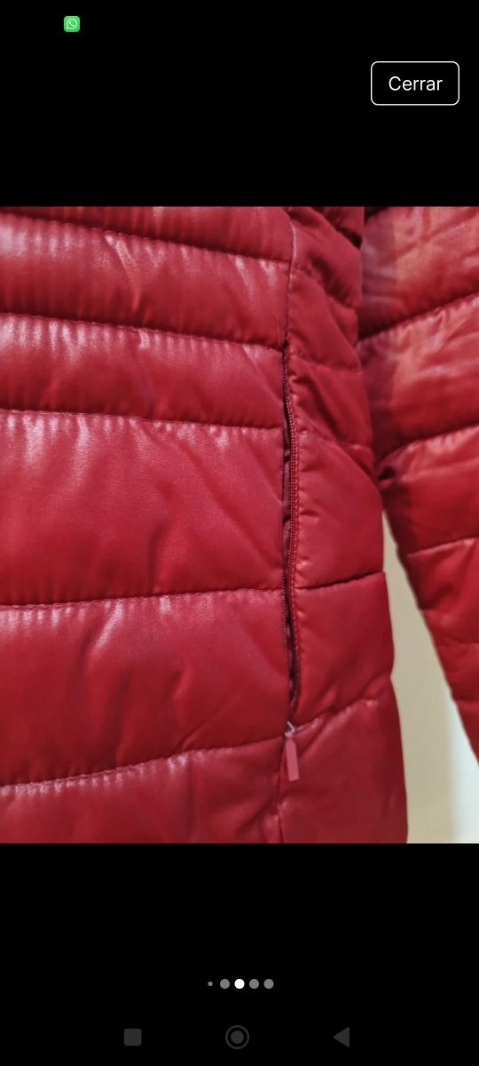 Plumifero rojo de Milano.