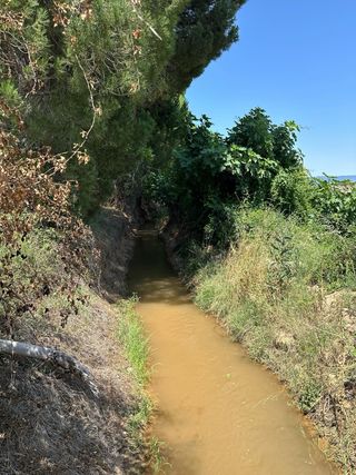 Terreno Calatayud - naturaleza