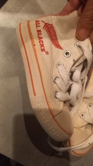 Converse All Star basse bimbo