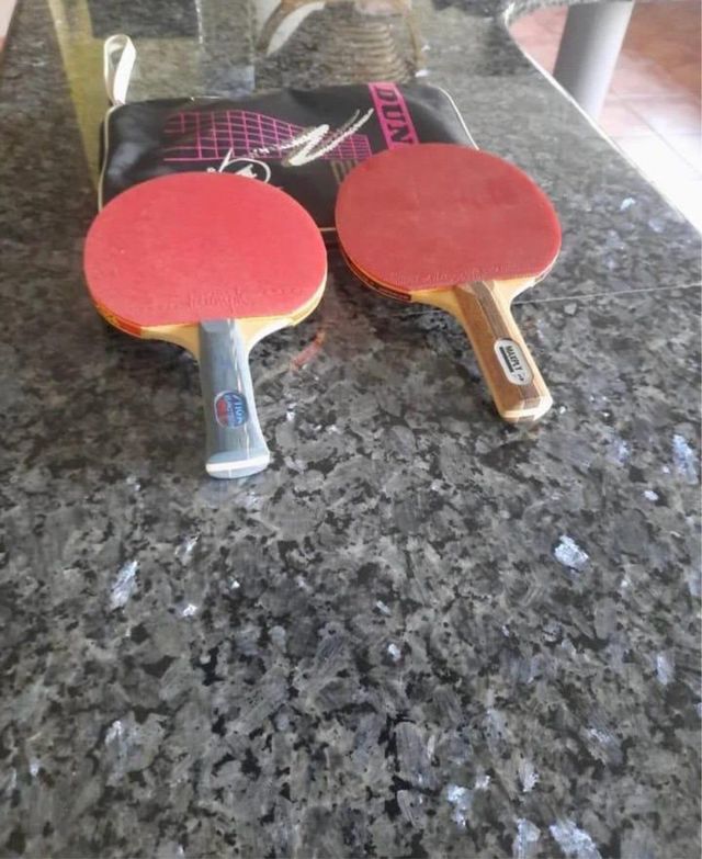 Palas Pin Pong Stigs Eurotech & MaxDrive Pro