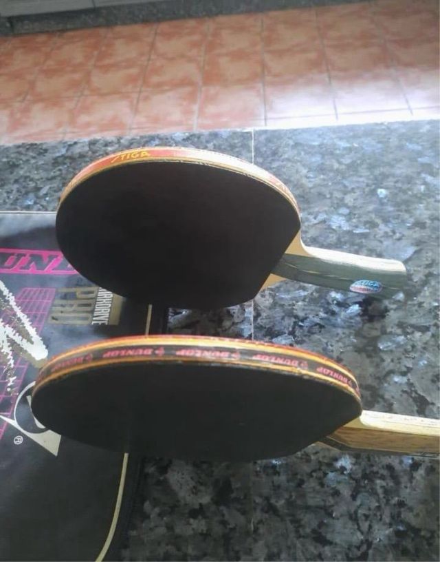 Palas Pin Pong Stigs Eurotech & MaxDrive Pro