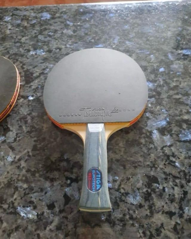 Palas Pin Pong Stigs Eurotech & MaxDrive Pro