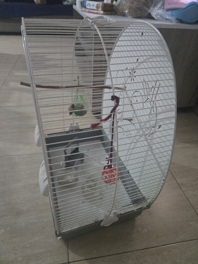 Jaula pájaros - Blanca y Gris