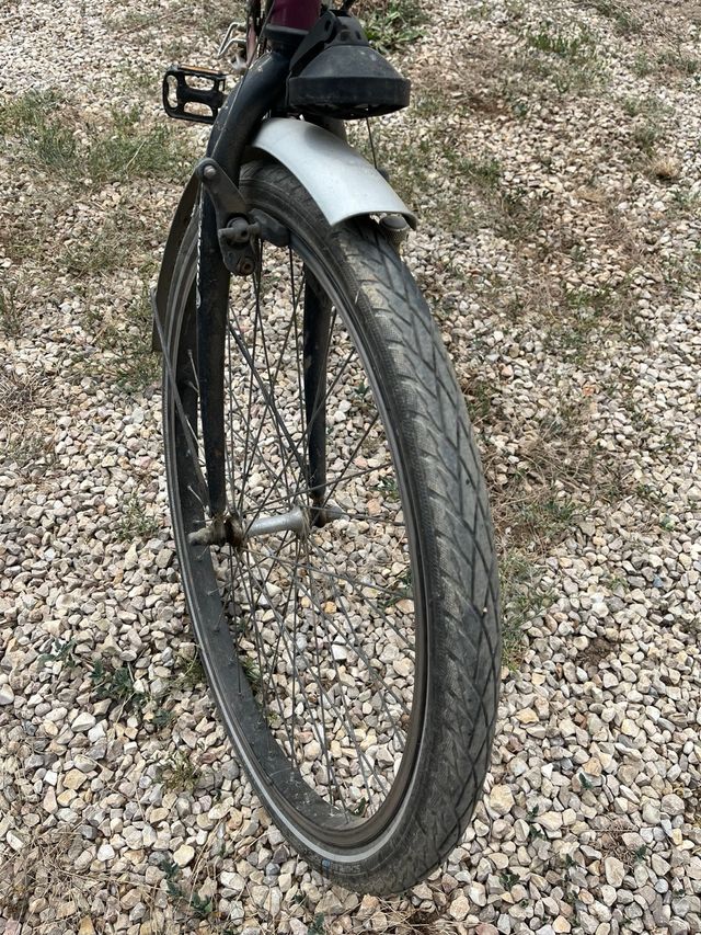 Bicicleta BATAVUS RUNNER