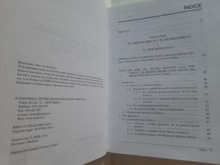 Arte de las grandes civilizaciones clásicas (UNED)