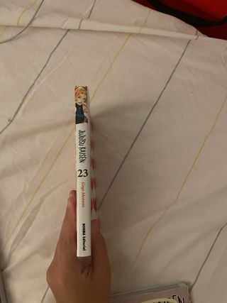 lote manga jujutsu kaisen 23-24