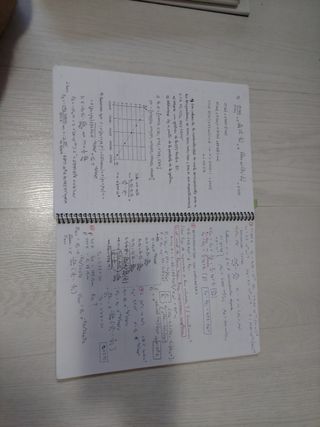 Libro ejercicios resueltos Física