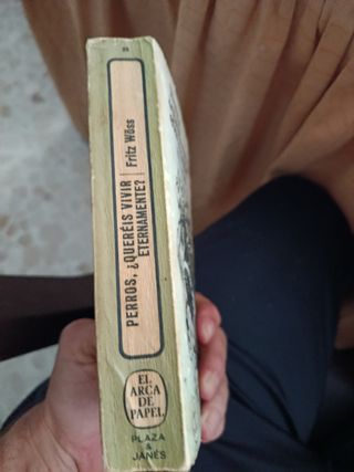 Perros Quereis Vivir Eternamente