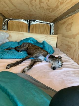 Mercedes-Benz Vito 2013