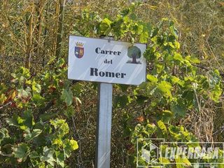 Terreno en venta en Alginet