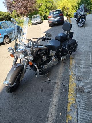 Harley Davidson FLSTCI Softail