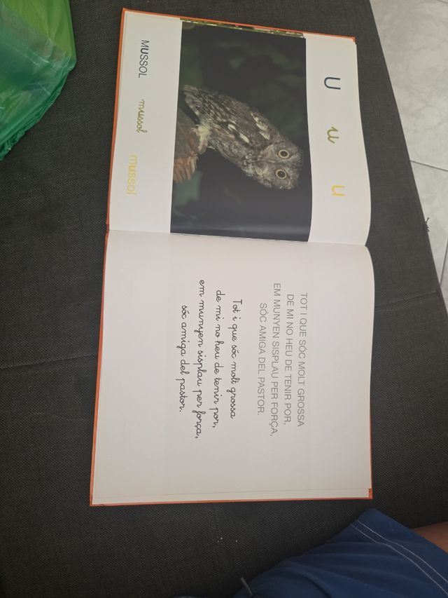 Animals de la A a la Z