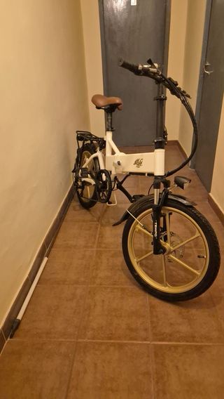 Bicicleta eléctrica plegable 250W