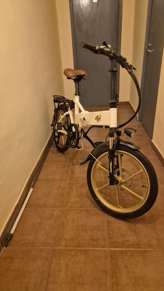Bicicleta eléctrica plegable 250W