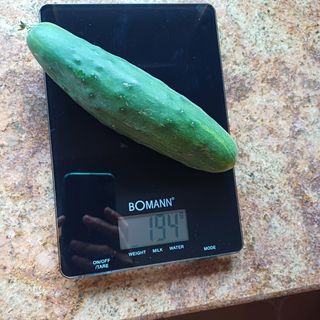 Báscula cocina digital Bomann  . De 1 g a 5 kg