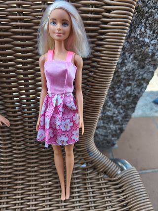 Lote Barbie