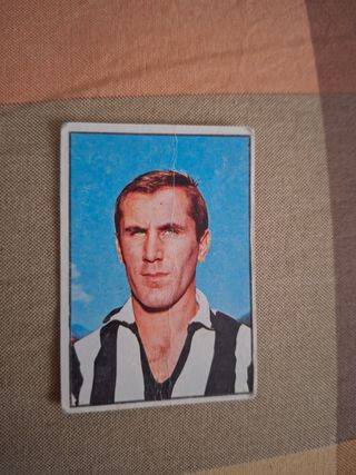 Figurina Calciatori Panini