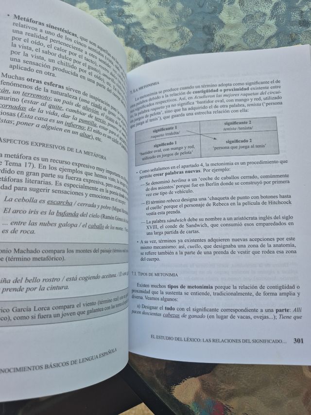 Conocimientos básicos de Lengua Española