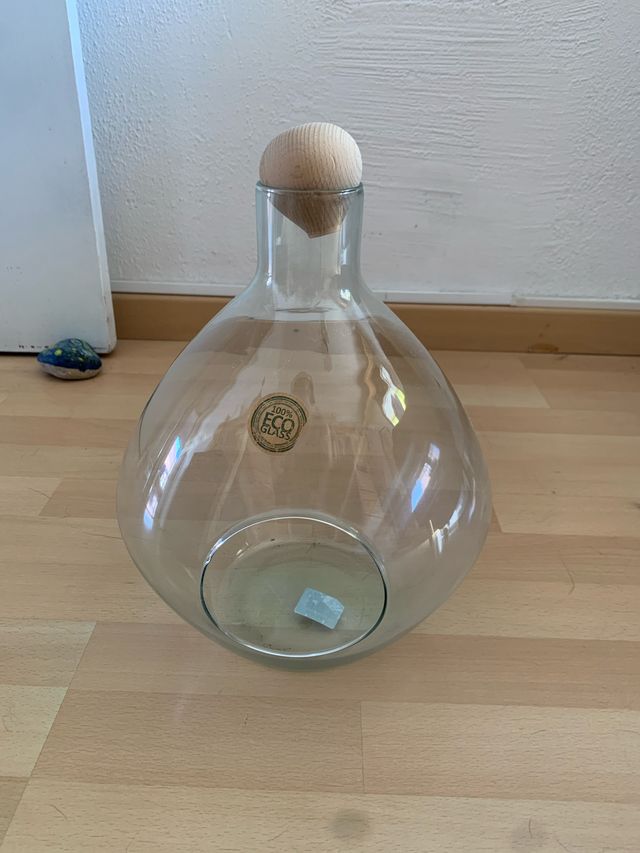 Terrario cristal plantas - Decorativo