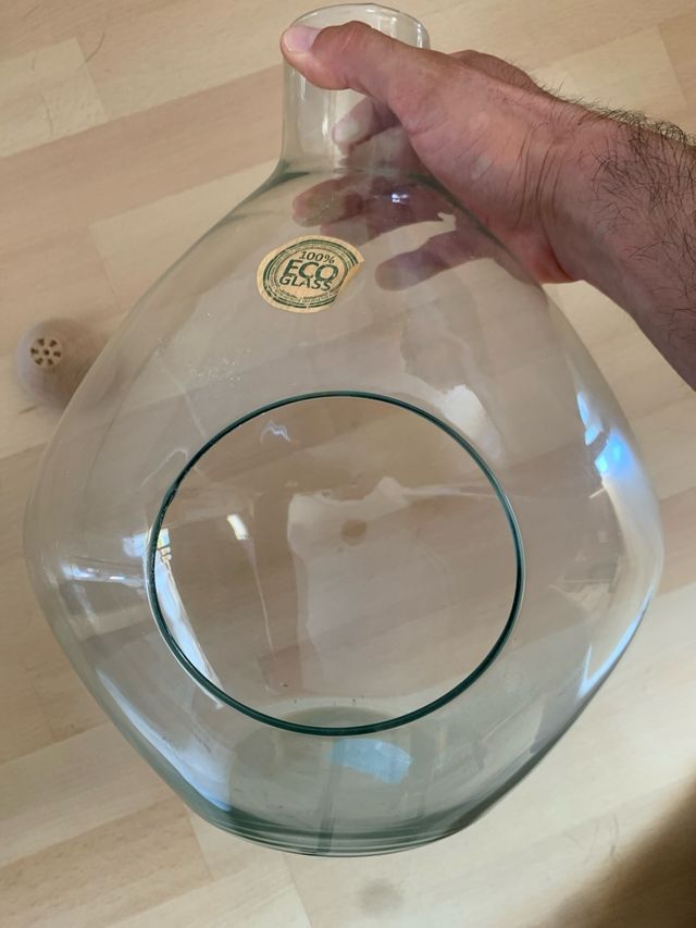 Terrario cristal plantas - Decorativo