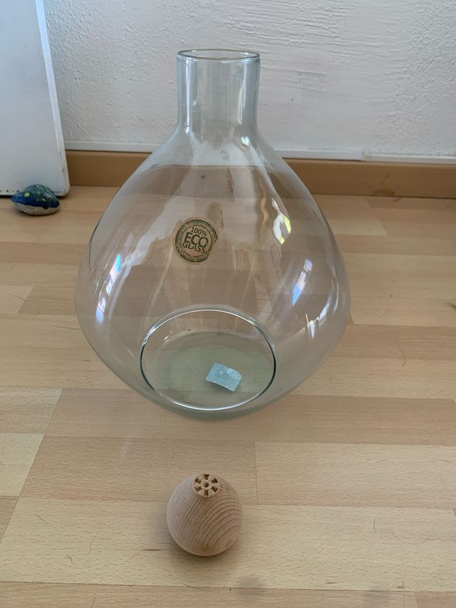 Terrario cristal plantas - Decorativo