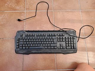 PC Gaming: Monitor, teclado y ratón