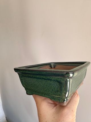 Vaso Bonsai Retangular Verde 15cm
