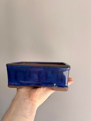 Vaso Bonsai Azul - Cerâmica