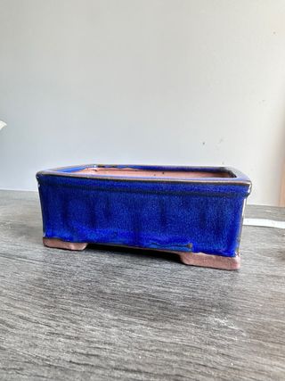 Vaso Bonsai Azul - Cerâmica