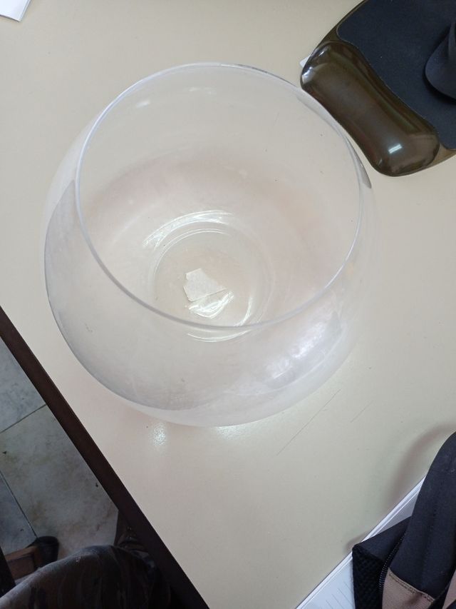 Pecera de vidrio transparente