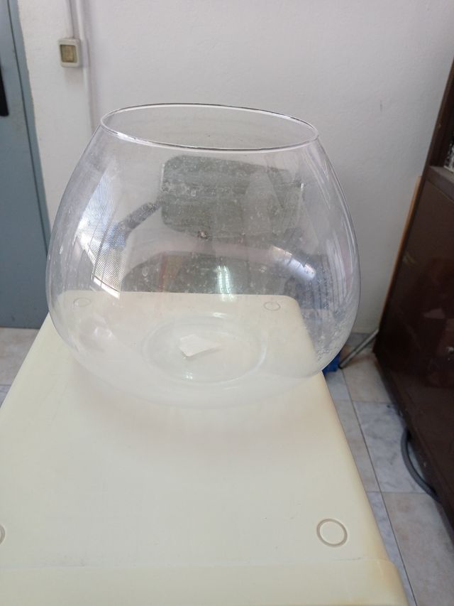 Pecera de vidrio transparente