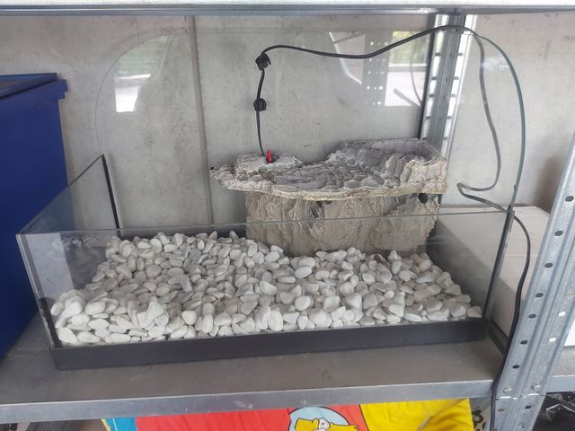 Terrario per rettili - Acquario