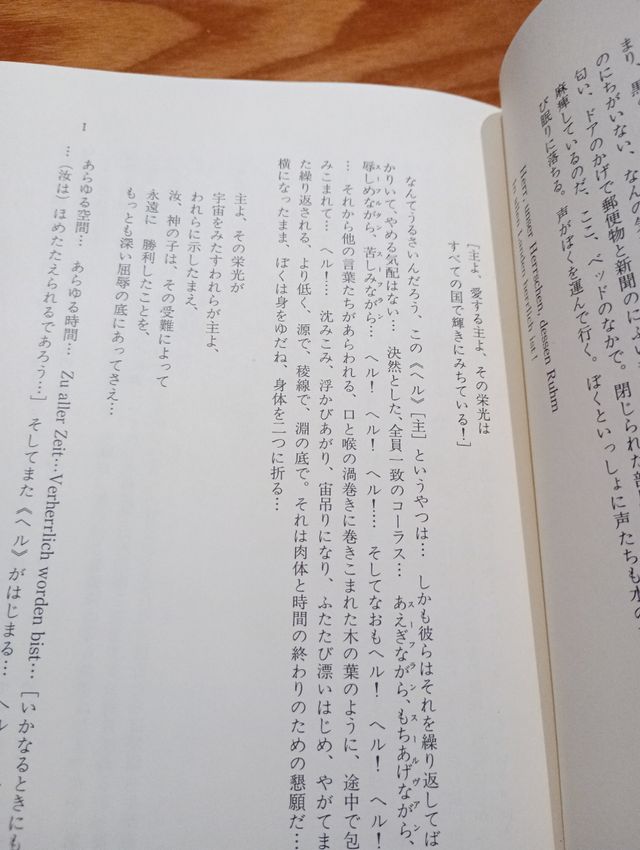 Libro japonés: Le Coeur Absolu