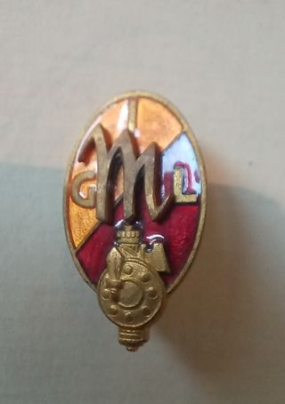 Militaria spilla da collezione
