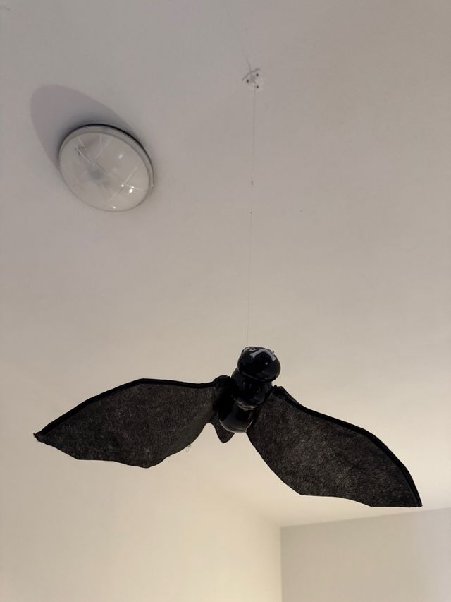 Pipistrello decorativo volante a batterie.