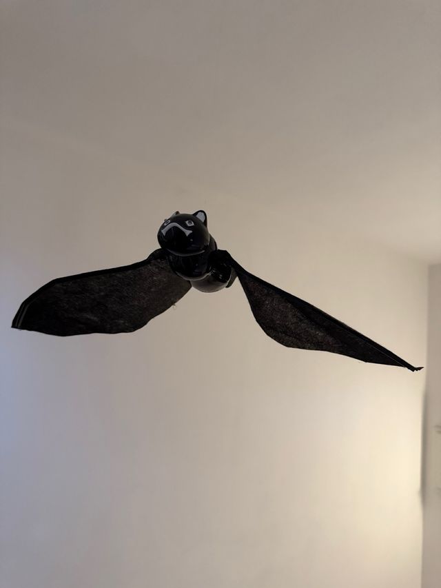 Pipistrello decorativo volante a batterie.