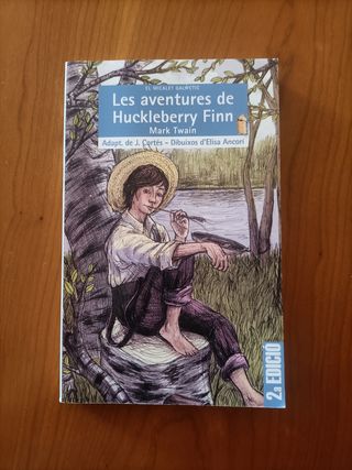Les aventures de Huckleberry Finn
